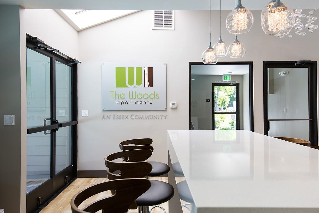 The Woods - Photo 5 of 31