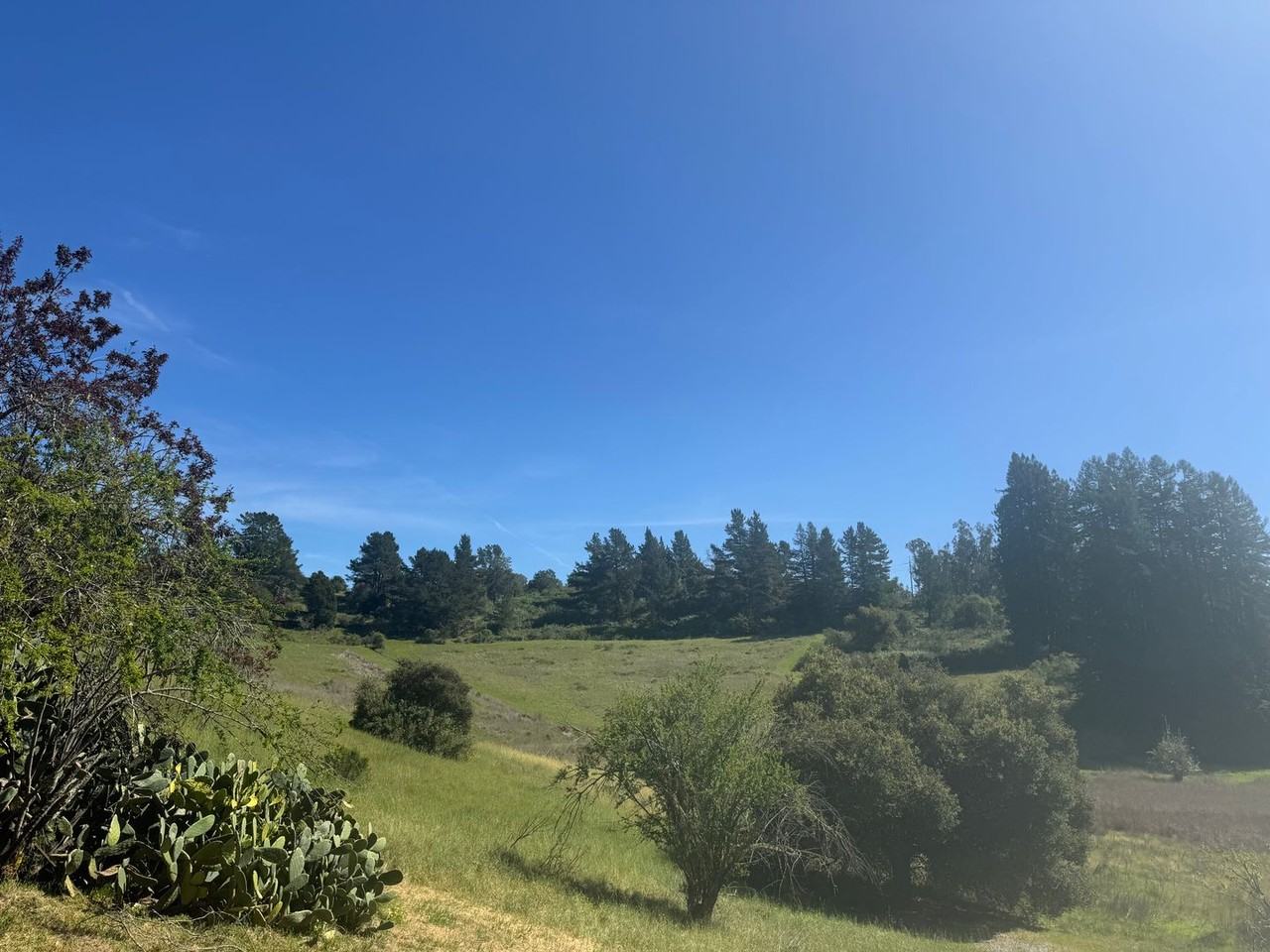 1255 Hames Rd - Photo 5 of 36