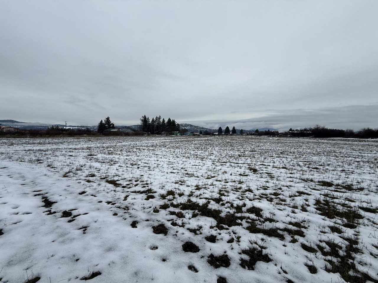 24211 E Wellesley Ave #1UNITB - Photo 4 of 22