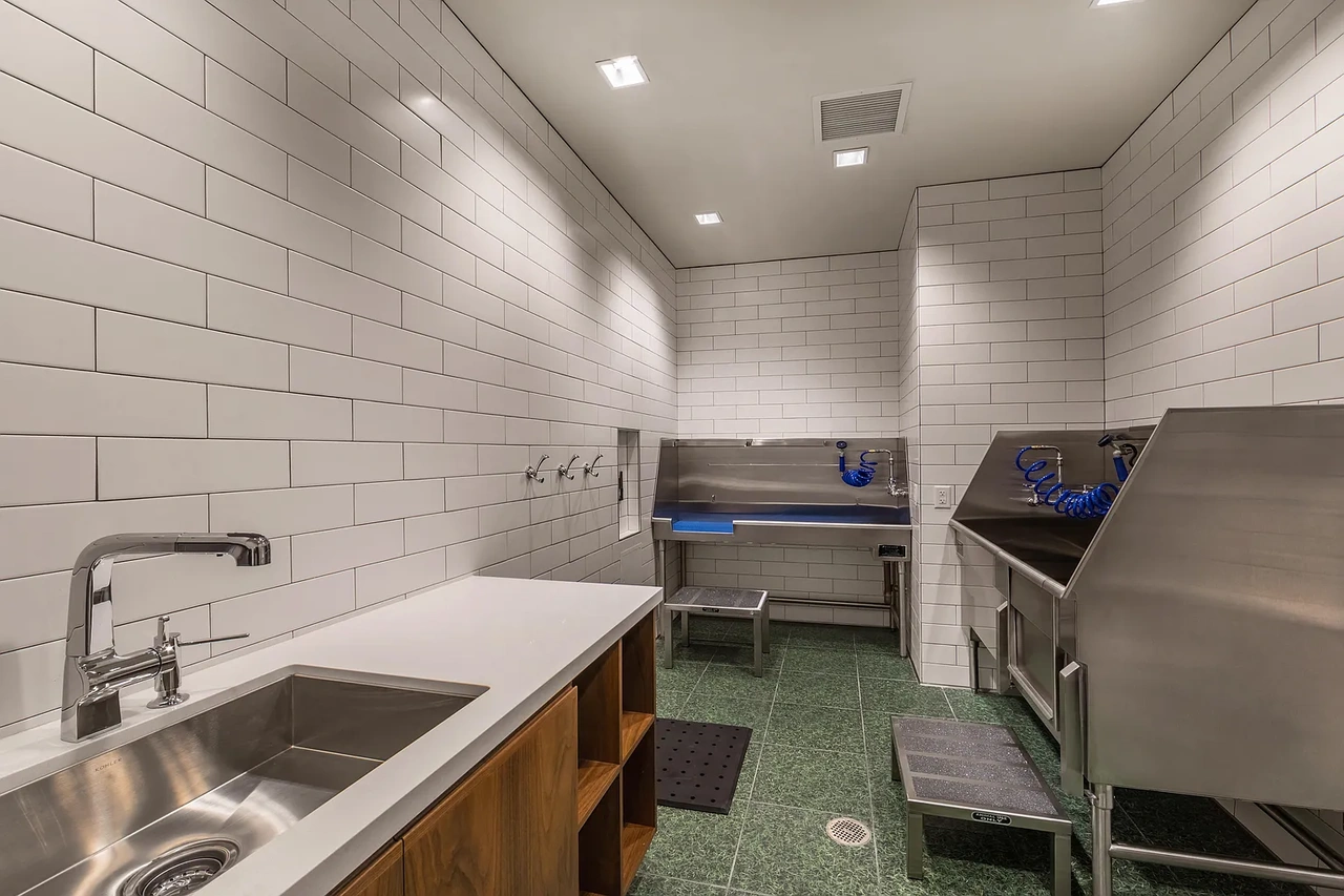 300 West Washington Avenue, Unit 304 - Photo 2 of 16