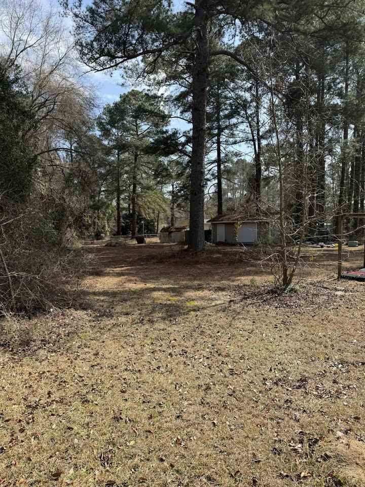 450 Old Castle Street - Photo 5 of 21