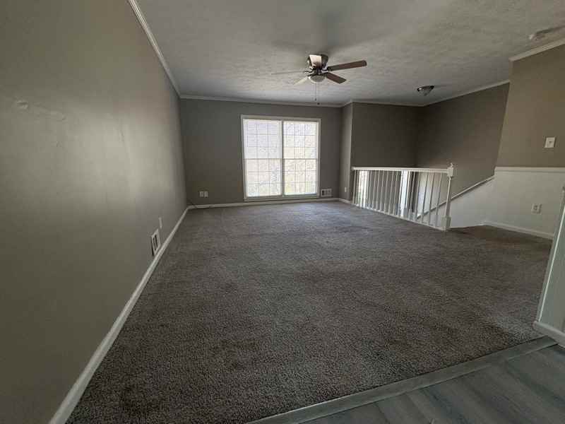 6625 Paula Ct - Photo 5 of 15