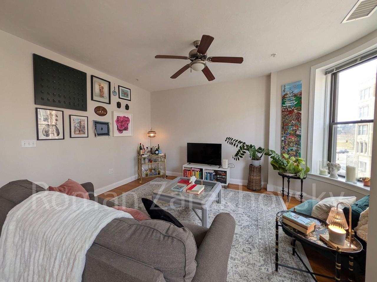 7 Sutherland Rd #201 - Photo 3 of 20