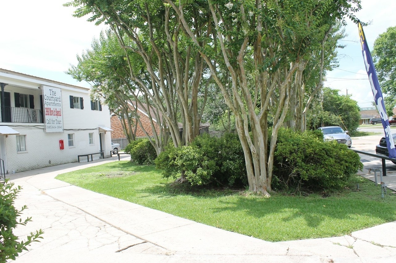 1418 Lynn Street, Unit 7 - Photo 4 of 10