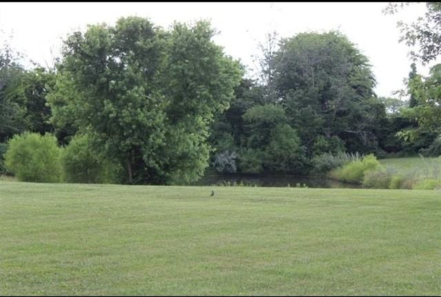 6516 Camp Ernst Road - Photo 5 of 14