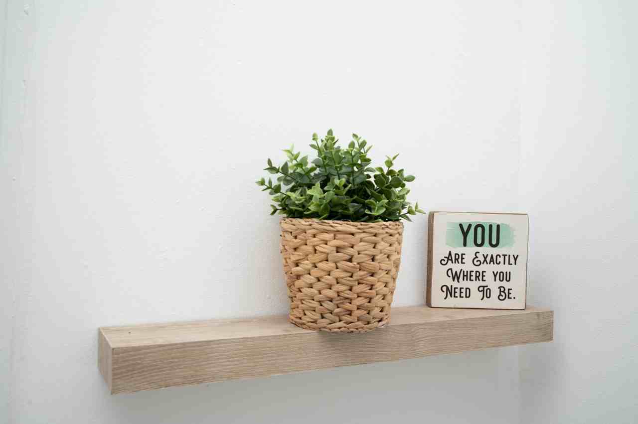 2351 Jackson Drive - Photo 7 of 35