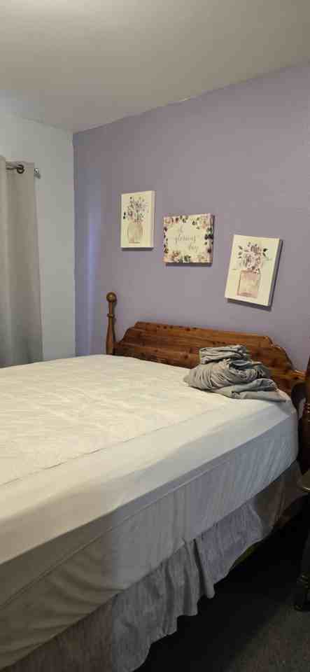 525 S 4th St #1 - Photo 5 of 8