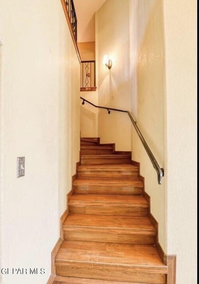 12716 Tierra Aurora Dr - Photo 6 of 17