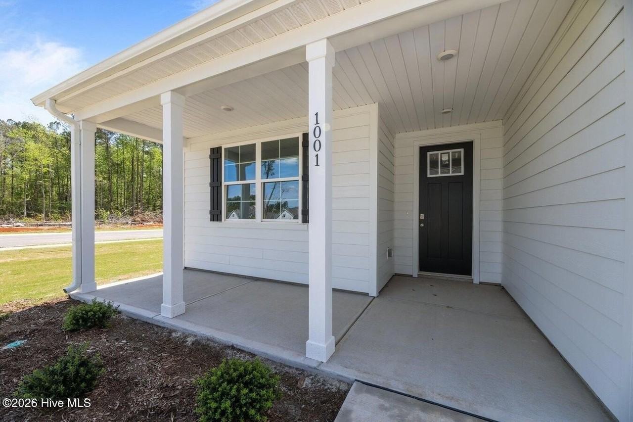 1001 Tawney Trce - Photo 4 of 32