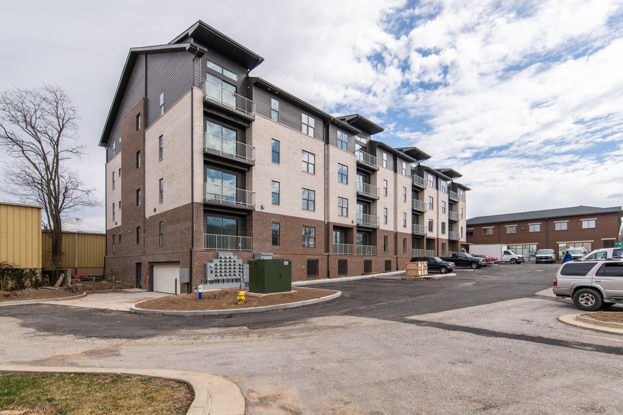 231 Walton Ave Apt 206 - Photo 2 of 30