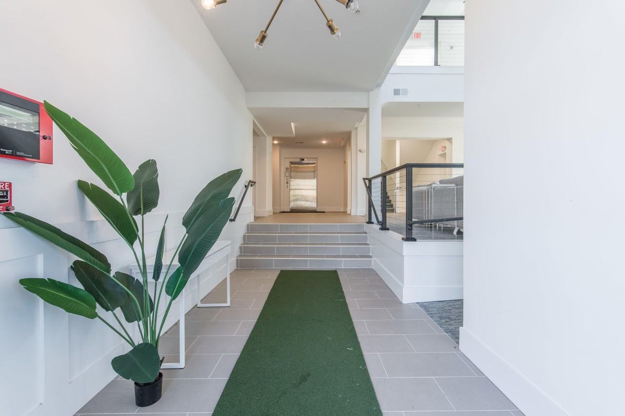 231 Walton Ave Apt 206 - Photo 3 of 30