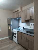 Taunton Maple - Photo 1 of 1