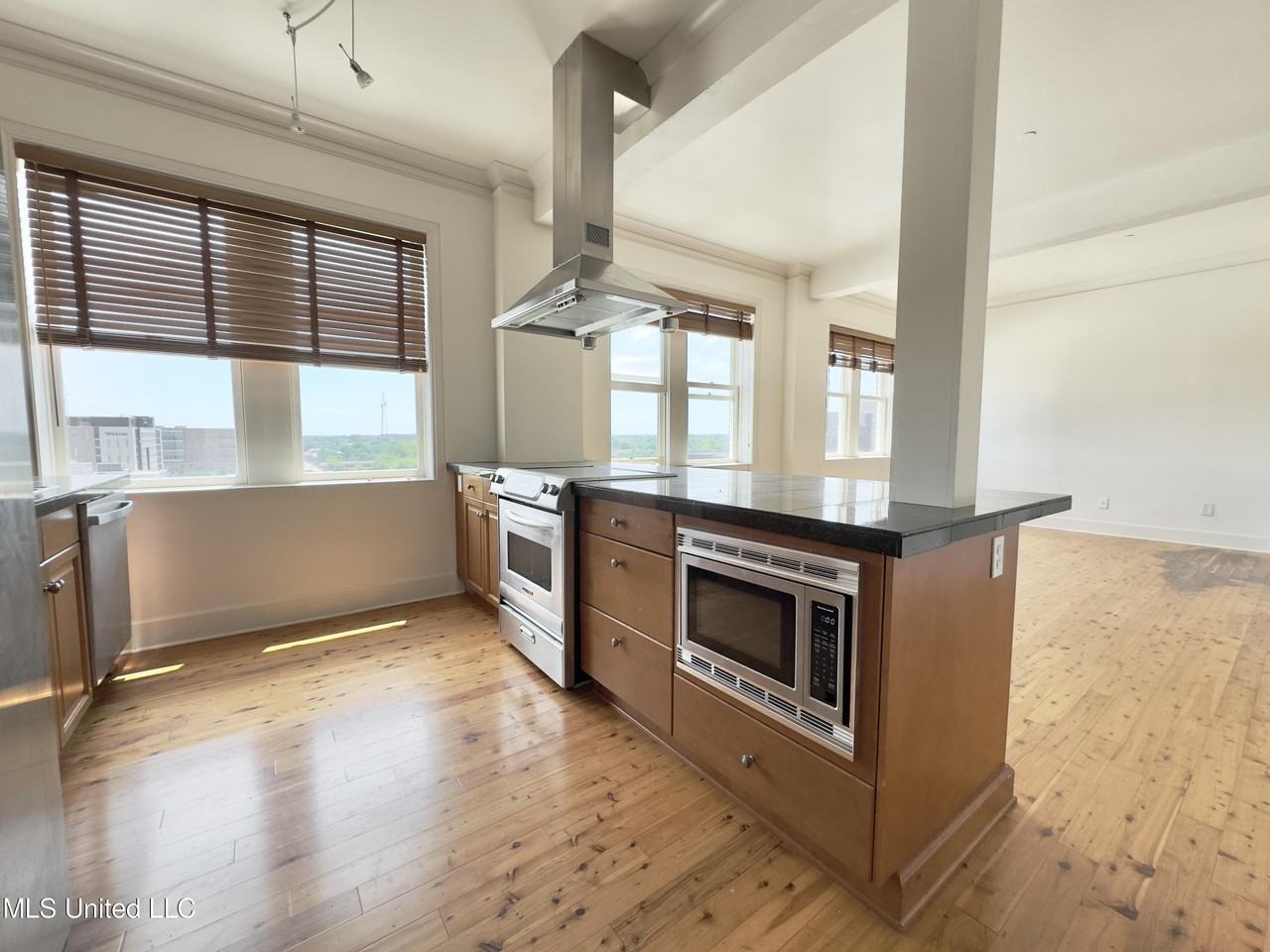 308 E Pearl St Apt 904 - Photo 2 of 12