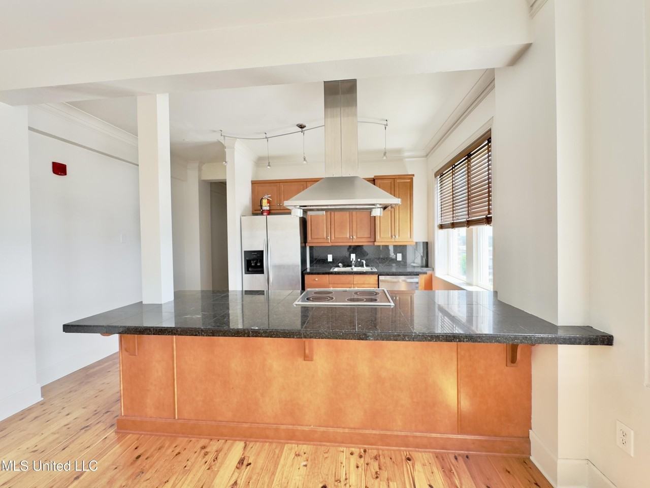 308 E Pearl St Apt 904 - Photo 3 of 12