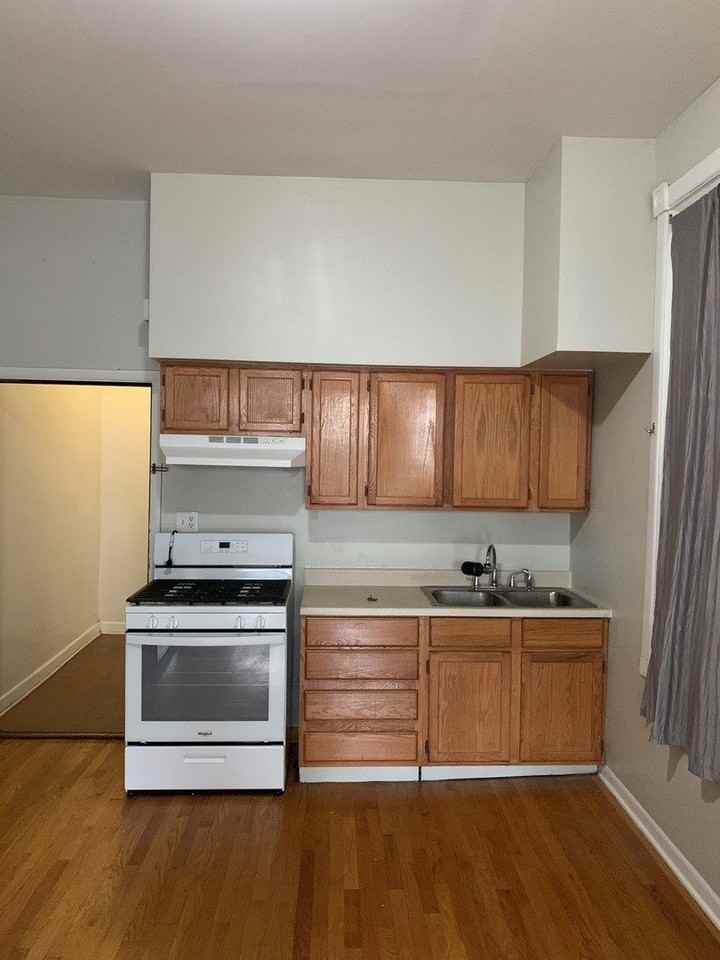 858 N Ashland Ave Apt 1r - Photo 7 of 15
