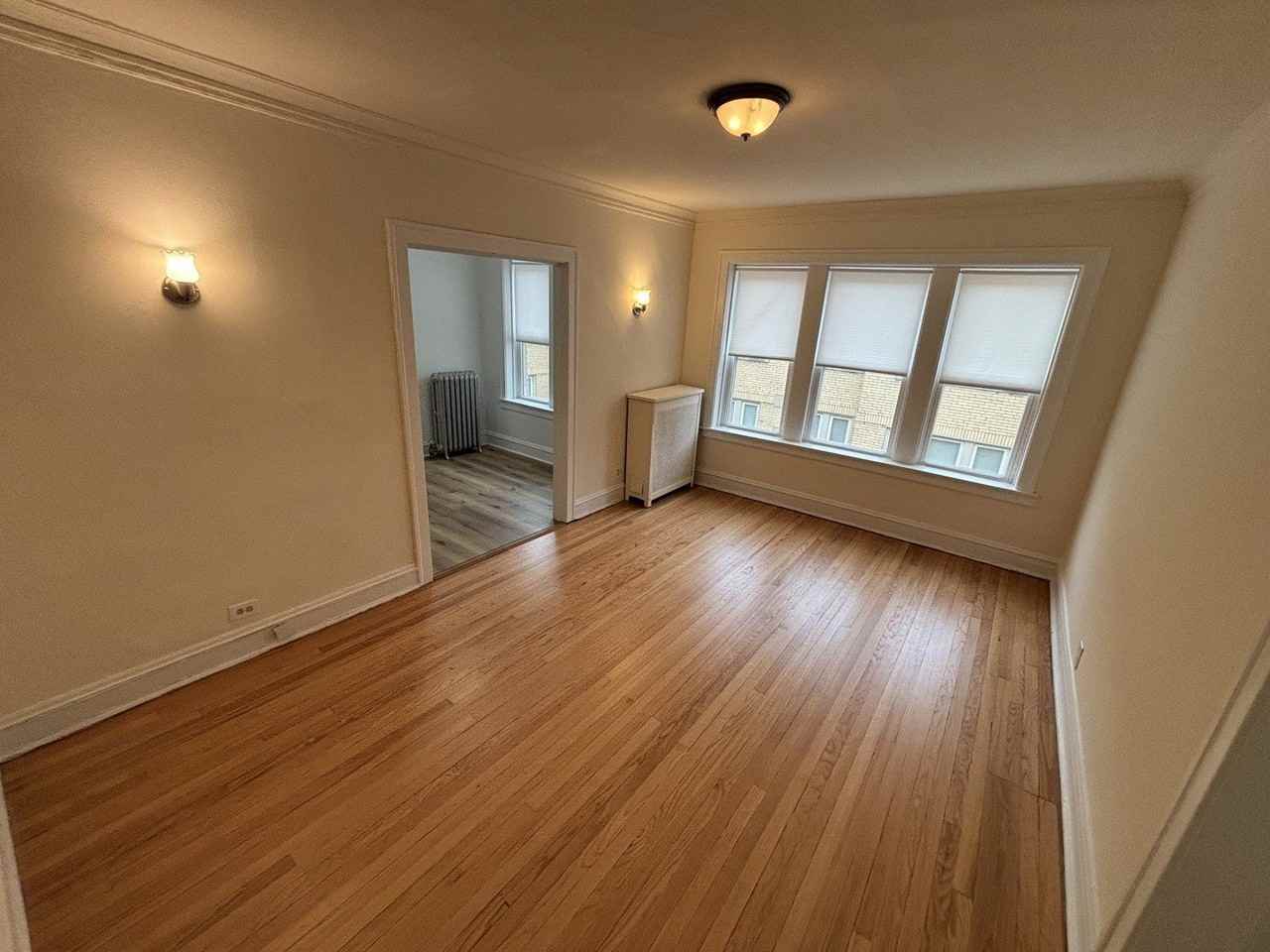 2216 W Thome Ave Apt 3b - Photo 4 of 18