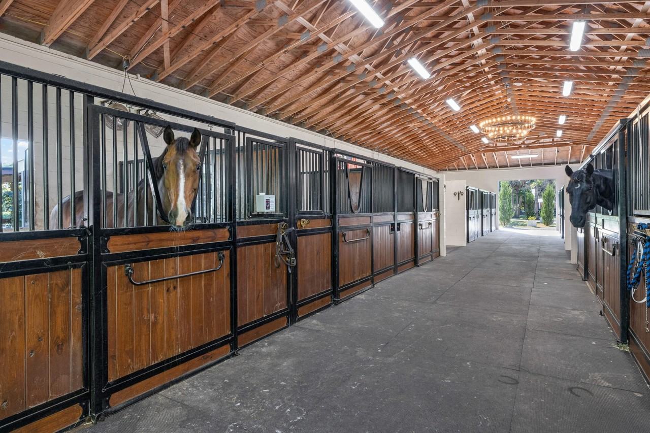 15161 Collecting Canal Rd - Photo 4 of 50