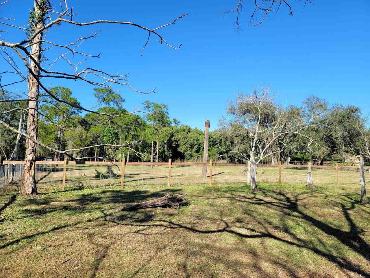 4362 W Midway Rd - Photo 4 of 18