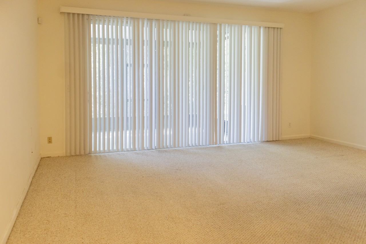 5972 Rocky Mount Dr #1 - Photo 5 of 21