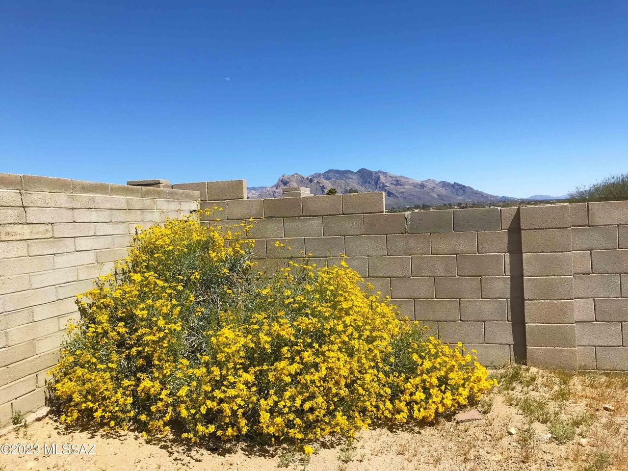 7800 N Nicole Pl - Photo 2 of 48