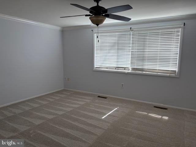 6581 Pressed Gentian - Photo 6 of 26