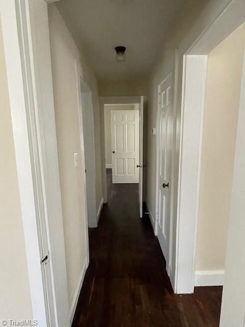 3811 Fritz St - Photo 5 of 15