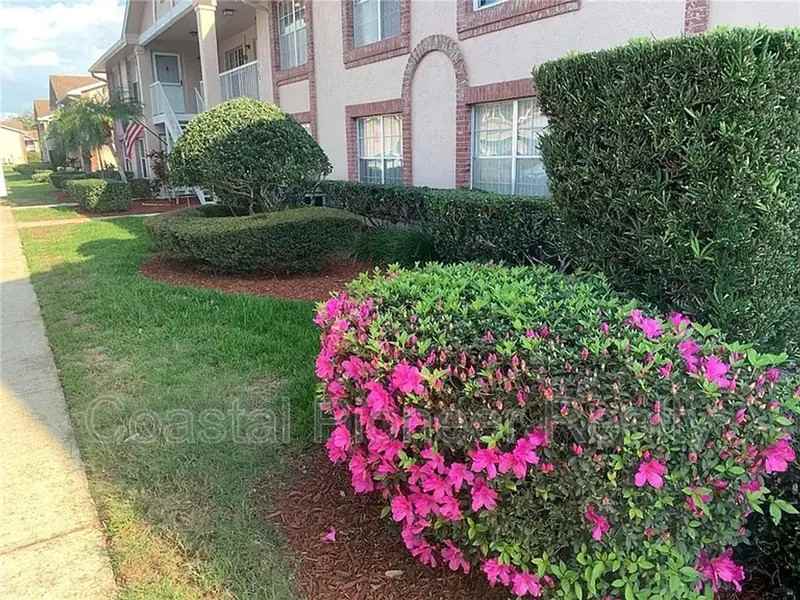 6424 Spring Flower Dr #25 - Photo 4 of 14