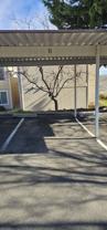 3890 E Leonesio Dr #F1 - Photo 1 of 1