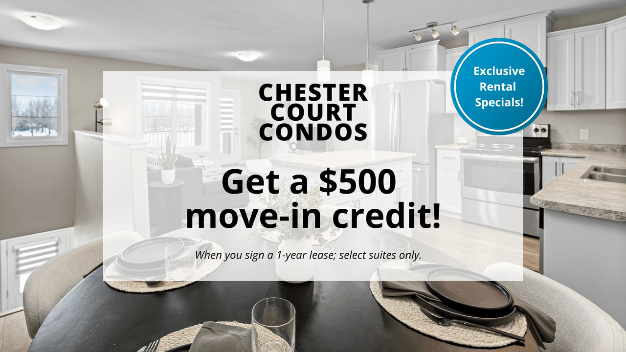 Chester Court Condos - Photo 2 of 32