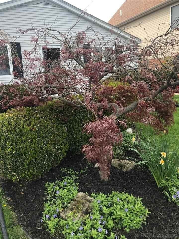 38215 Circle Dr - Photo 5 of 50