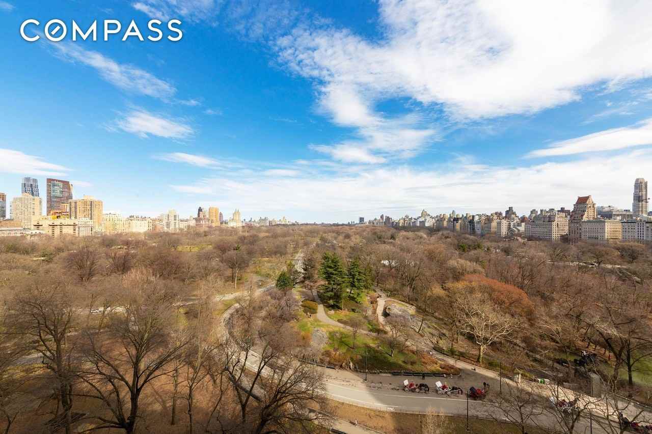 116 Central Park S #16N - Photo 3 of 17