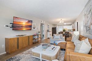 featured image of Venus Ct