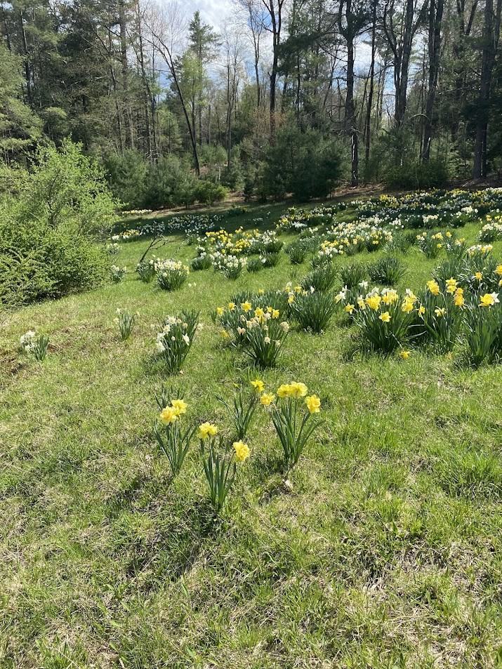 983 Plank Road Section A #NA - Photo 3 of 12