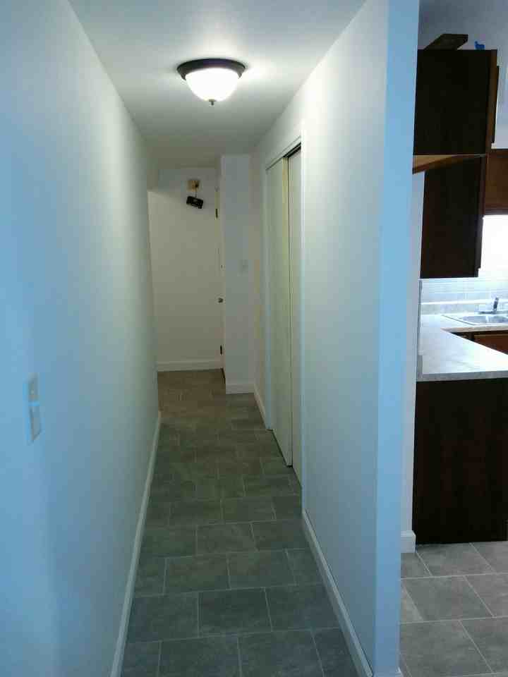 1533 Homestead Rd - Photo 6 of 8