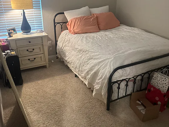 473 Apache Plum Dr #NA - Photo 6 of 9