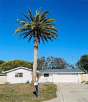 10120 Willow Dr - Photo 1 of 1