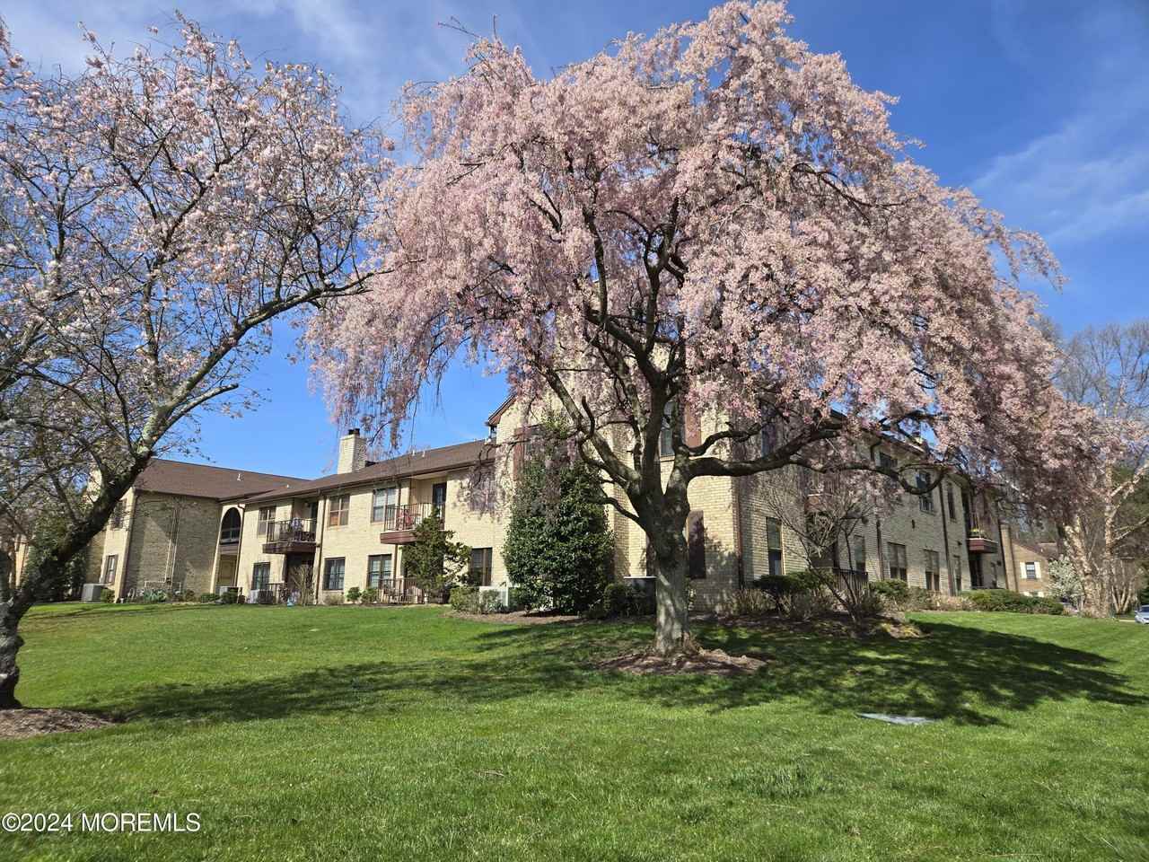 912 Wellington Pl - Photo 3 of 29