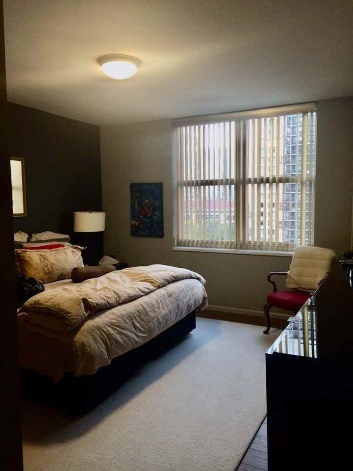 21 W Chestnut St Apt 1101 - Photo 7 of 16