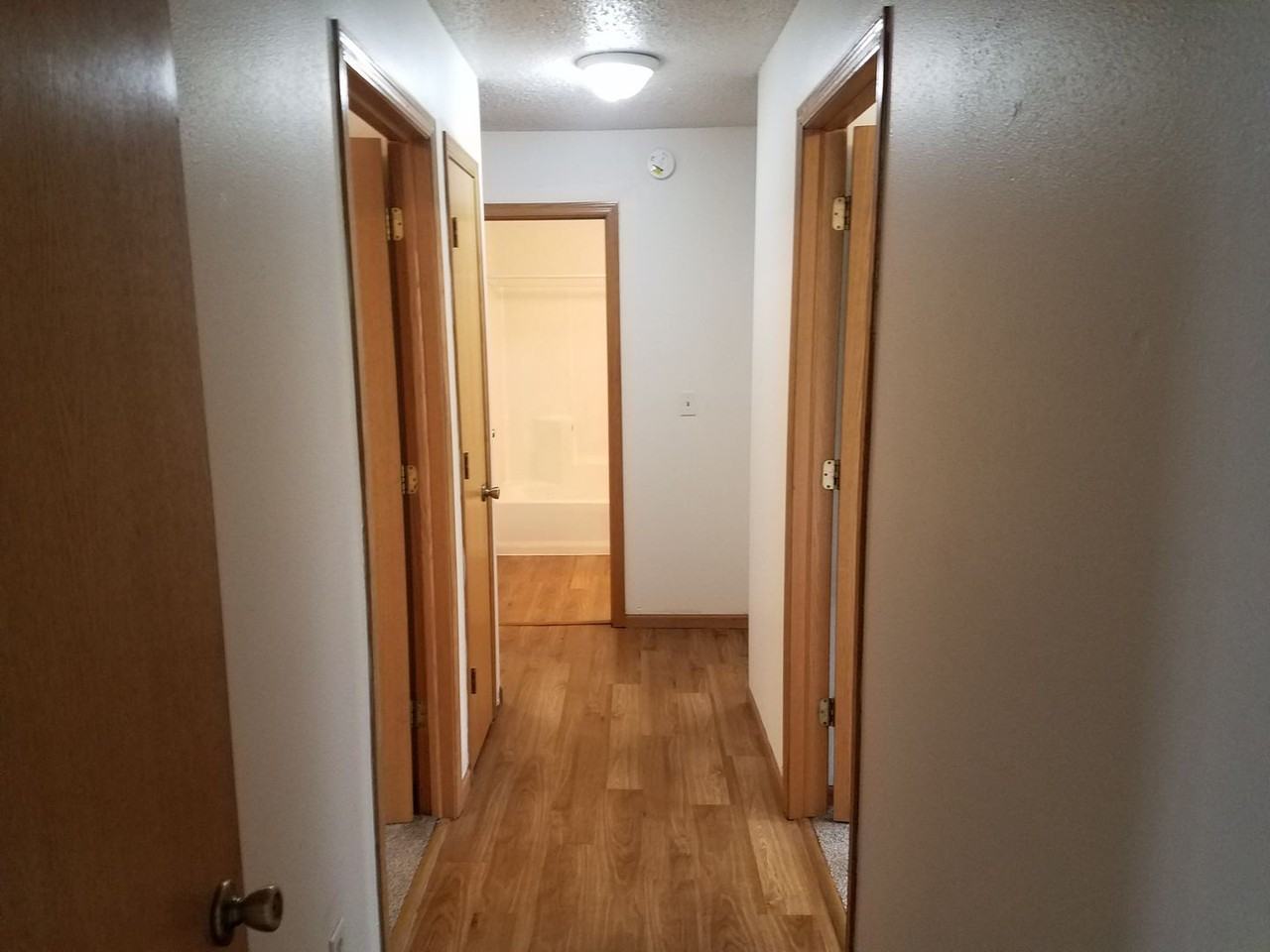 520 - Photo 3 of 19