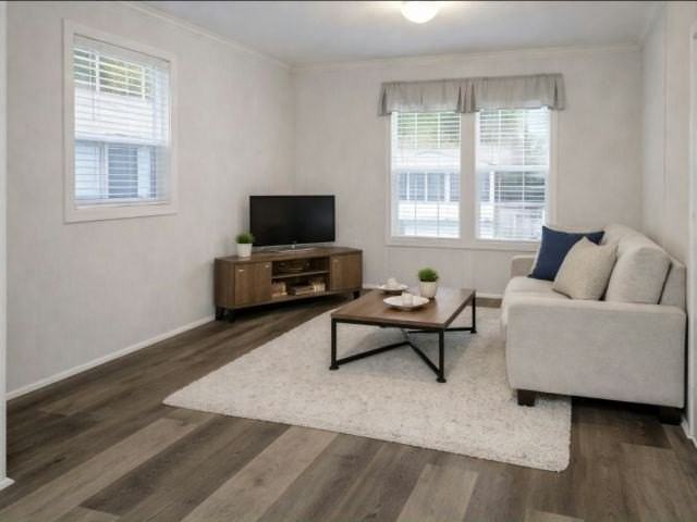 5 George St #44 - Photo 4 of 4