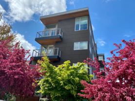 Sola 16 - Photo 1 of 1