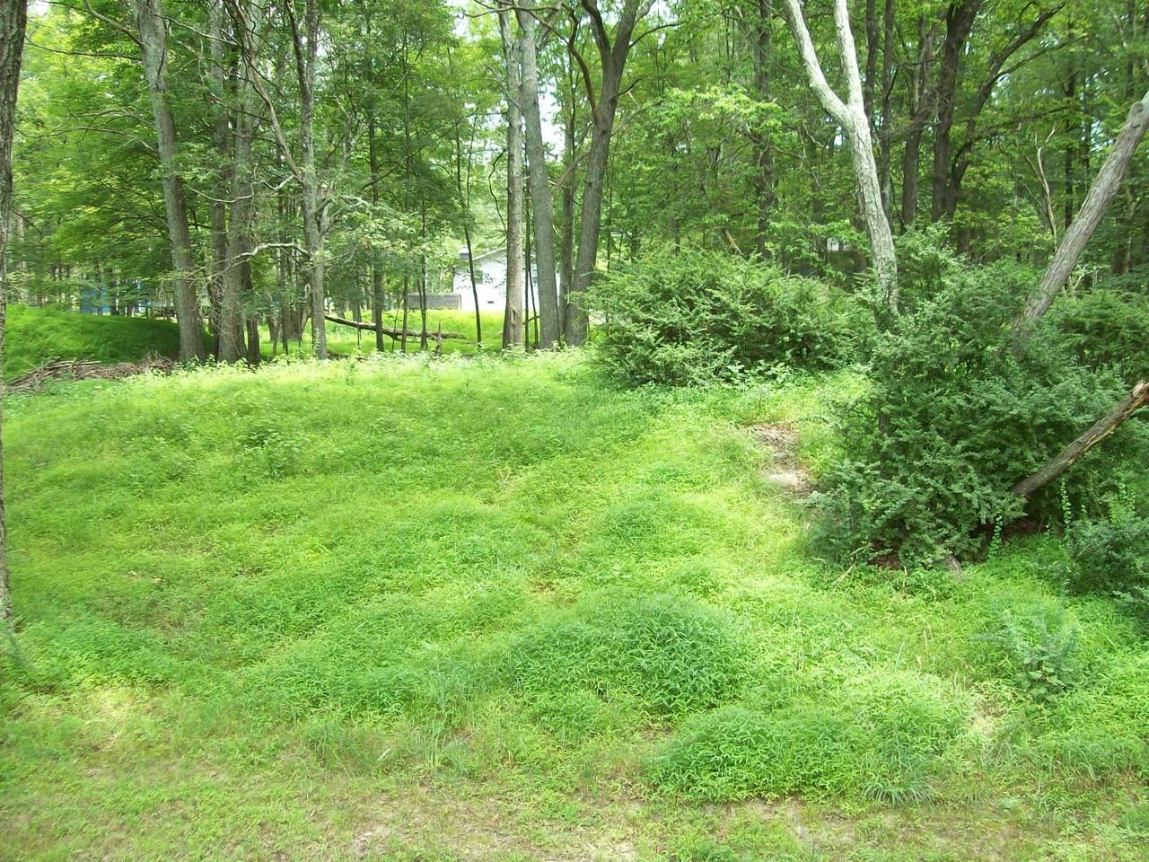 139 Davis Cir - Photo 7 of 23