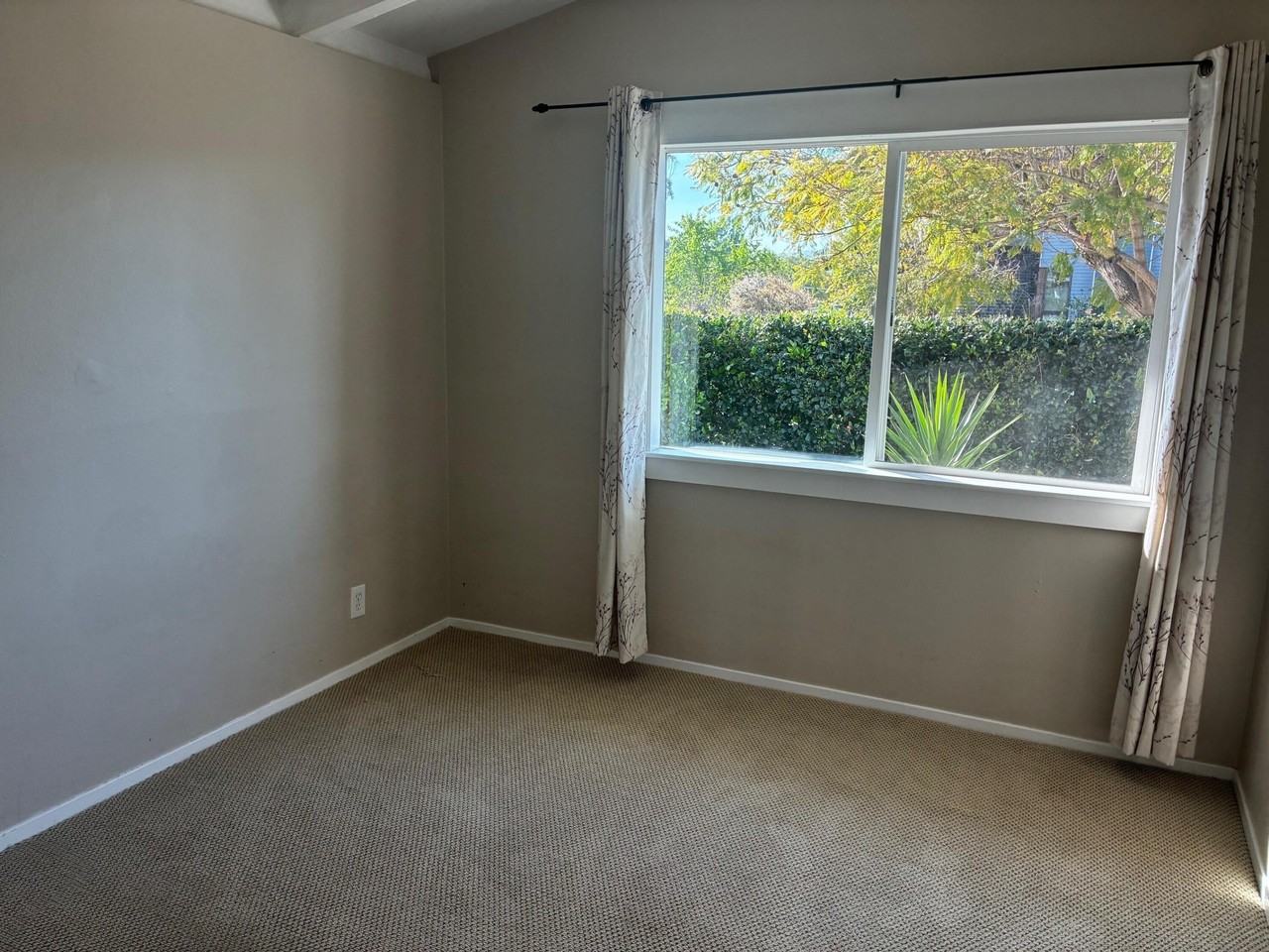 4118 San Martin Way Unit B - Photo 4 of 12