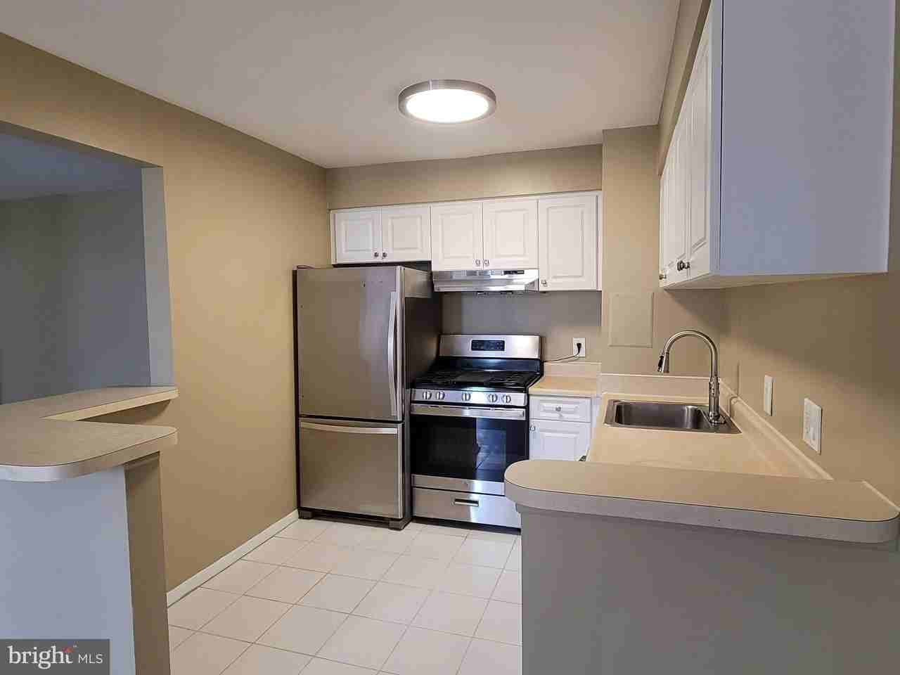 8 S Van Dorn St Apt 401 - Photo 7 of 16