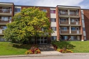 featured image of 42 40-45-50-55 Charles-Albanel Street