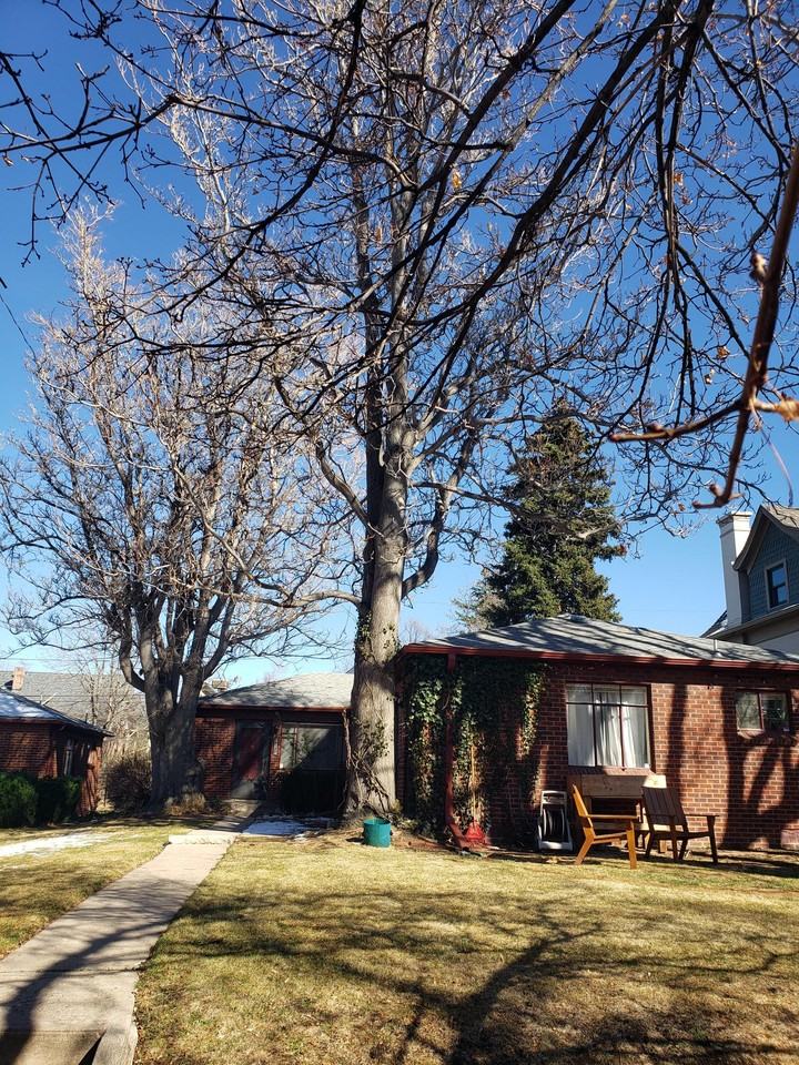 1140 Steele Street - Photo 2 of 13