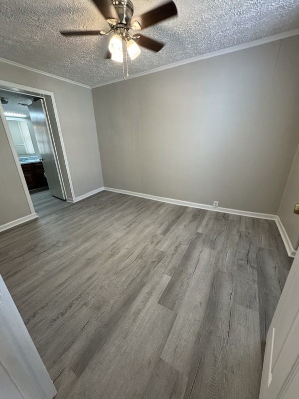 113 N Daisy Ave - Photo 4 of 14