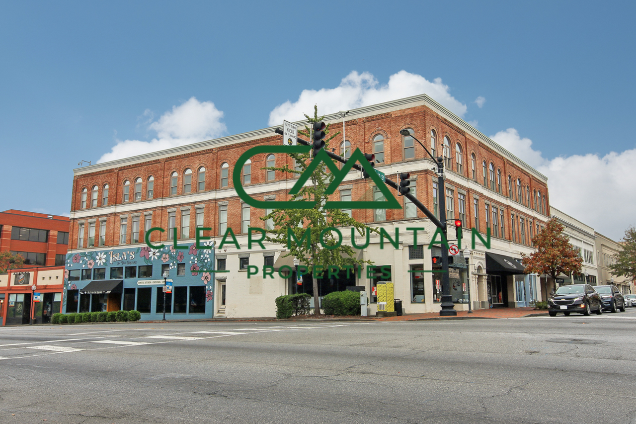 Palmetto Lofts - Photo 2 of 25