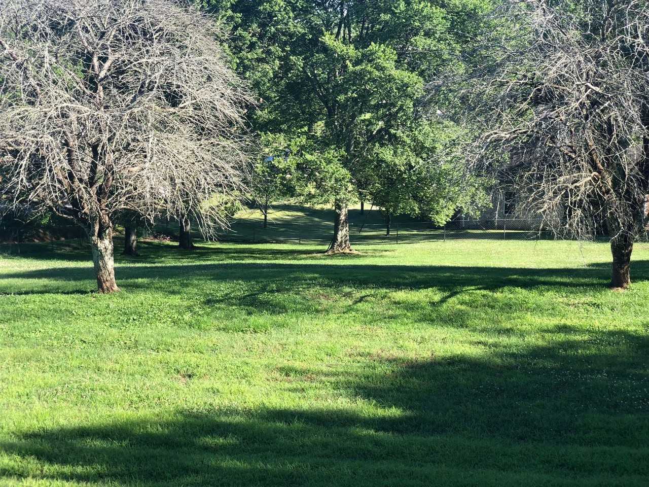 102 Medearis Dr - Photo 2 of 7