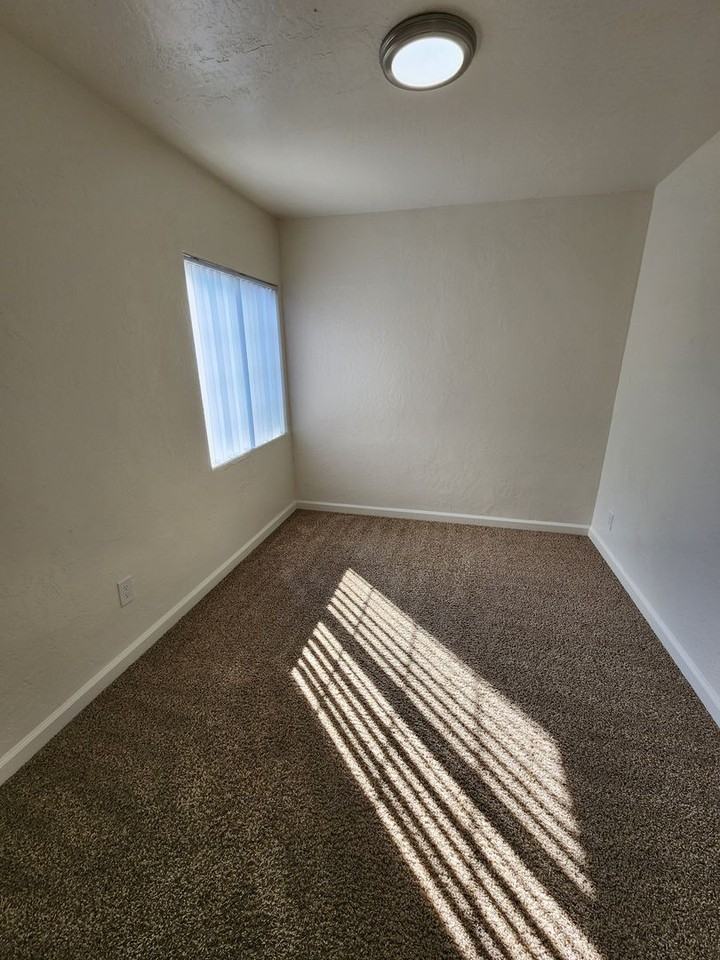 509 Palm Ave - Photo 6 of 12